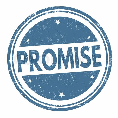 The Promise