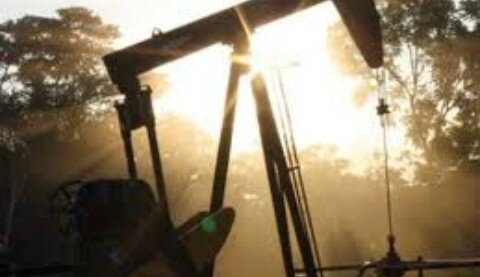 Primer campo petrolero