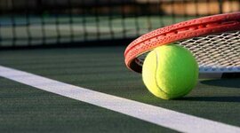 Timeline: Evolución del tenis de campo