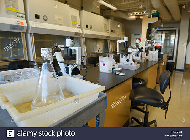 Fundación de el laboratorio en el MIT