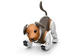 AIBO