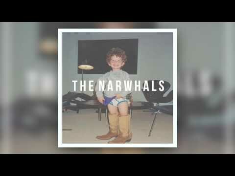 The Narwhals