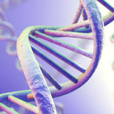 Timeline: Historia de los descubrimientos en torno al ADN - Lara Slivskin