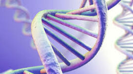 Timeline: Historia de los descubrimientos en torno al ADN - Lara Slivskin