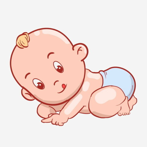 Les Années Duplessis (suite)