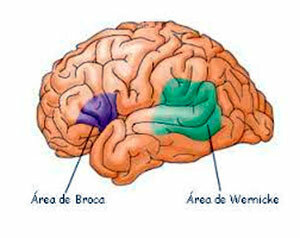 Psicología Científica XIX