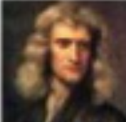 Newton
