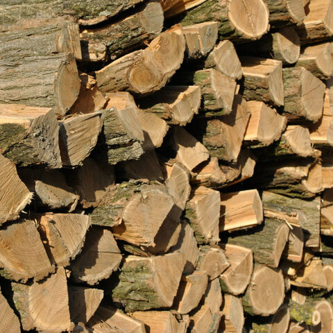 Le commerce du bois gagne en importance