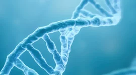 Timeline: Descubrimiento del ADN