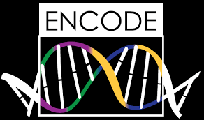 Enciclopedia de los elementos del ADN