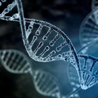 Timeline: El descubrimiento de la estructura de doble hélice del ADN