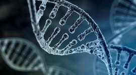 Timeline: El descubrimiento de la estructura de doble hélice del ADN