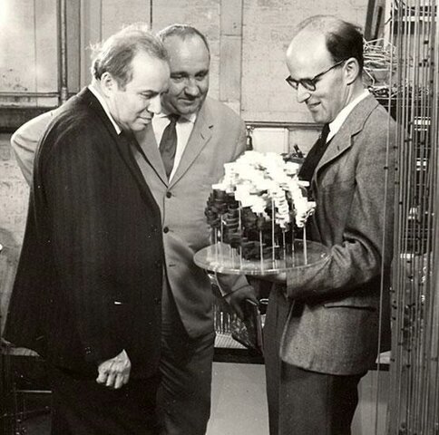 Avery, Mc Lead, Mc Carty