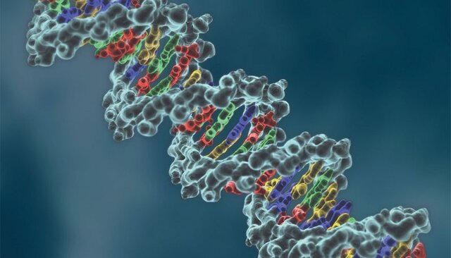Ingienería genética