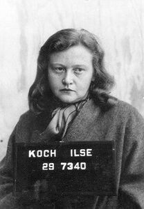 L'IIse Koch
