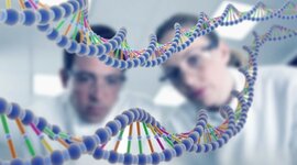 Timeline: Linea de tiempo del descubrimiento del ADN.                                                                                                                        Lucia De Vito