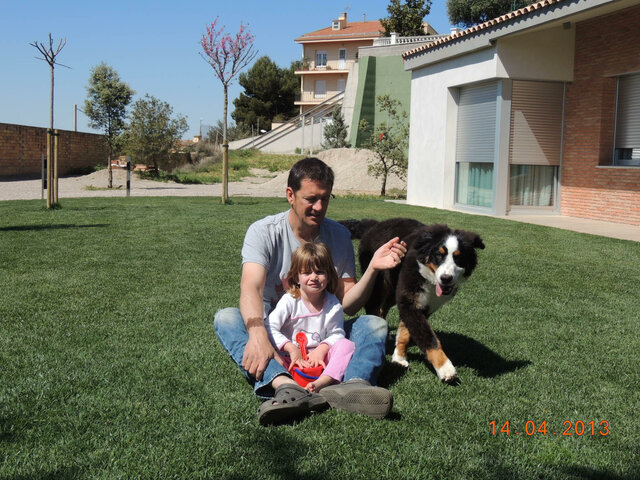 El millor gos del mon!