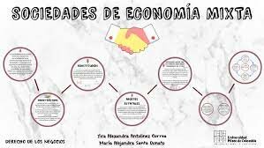 ECONOMIA MIXTA
