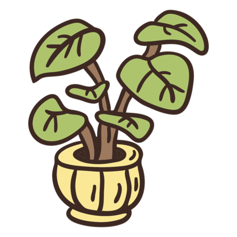 Confirmación de la reproducción sexual en las plantas