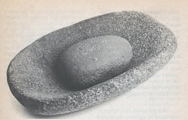 Sociedades agropastoriles en el centro y norte del territorio