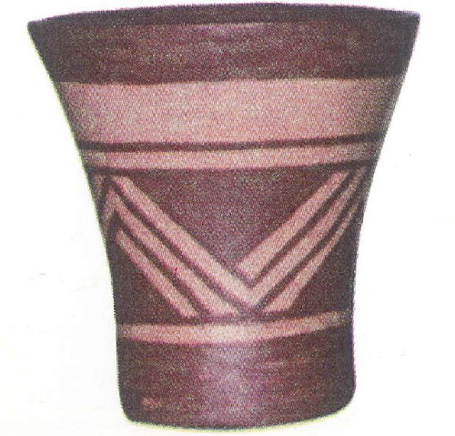 Influencia neuquino-patagónica