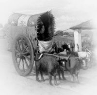 Camino hacia el valle de Uco y rutas hacia Córdoba, Tucumán y Buenos Aires.