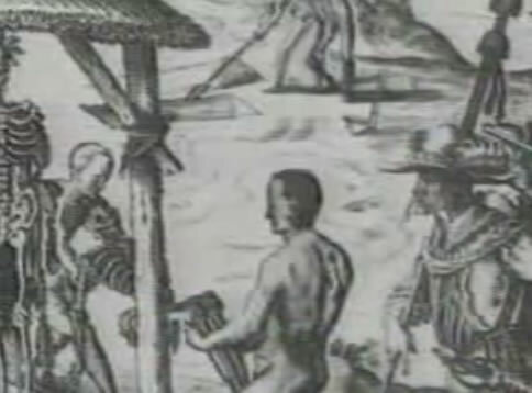 Cultivos coloniales y primeros intercambios económicos