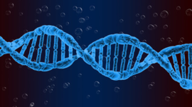 Timeline: ADN luis mercado