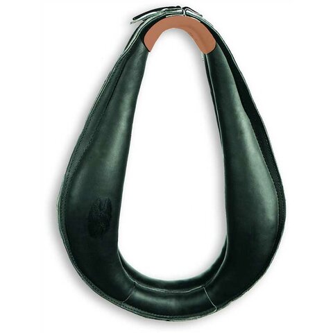 Horse Collar