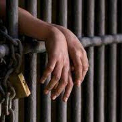 Timeline: Argumentación de caso