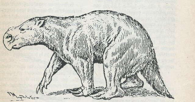 Extinción de grandes animales