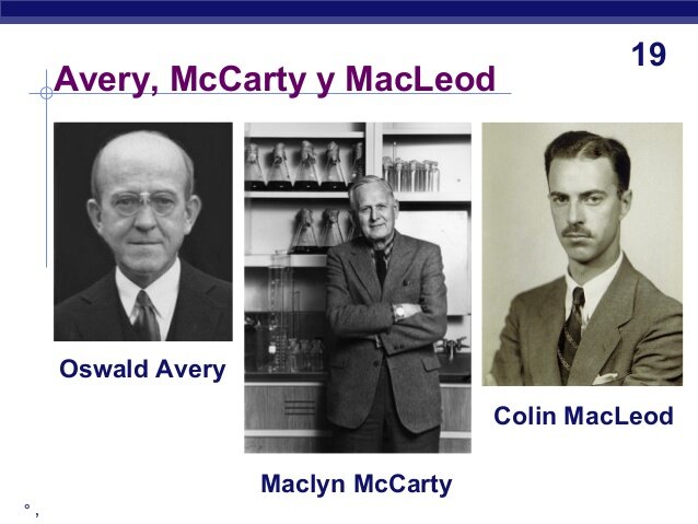 MCLEAD, MCCARY Y AVERY
