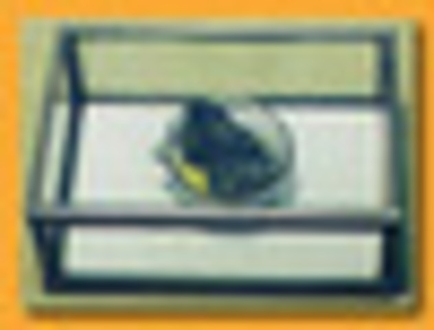 marie and pierre curie