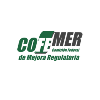 Calendario y lineamientos MR