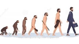 Timeline: Evolución de la Administración.