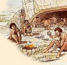 Toleran, Reglamentan y Negocian