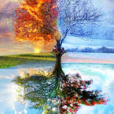 Timeline: Le stagioni