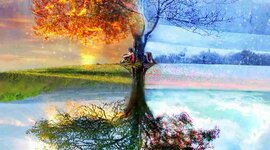 Timeline: Le stagioni