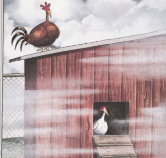 Chickens In The Mist (Documentary)