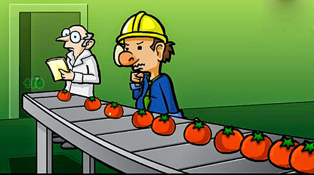 Etapa de la inspección