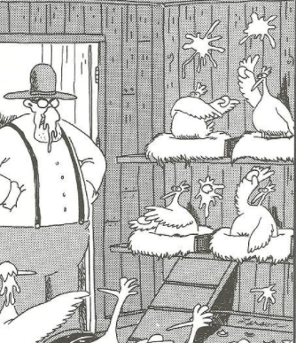 The Return of Farmer Bob