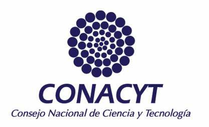La ciencia política y administración pública tienen un gran impuso con el apoyo del Consejo Nacional de Ciencia y Tecnología.