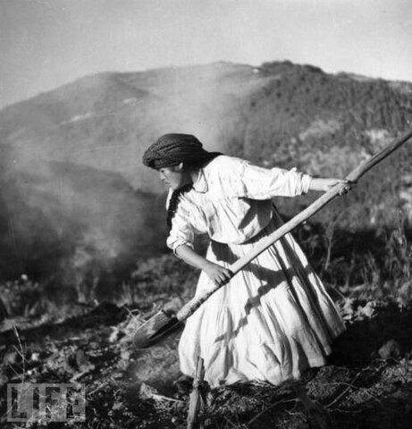 LA ADMÓN EN EL SIGLO XX