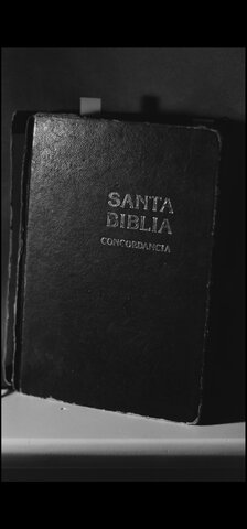 Mi regreso a la iglesia