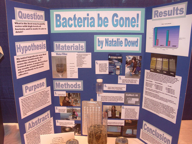 First science project