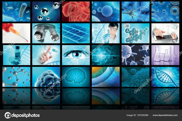 Campos interdisciplinarios