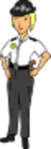 Transportation Security Administration Formed