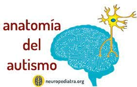 FINALES SIGLO XVIII  FRANZ JOSEPH GALL