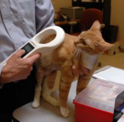 Universal microchip scanners become widely used and available.