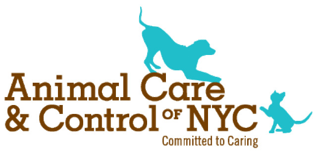 Willow turns up at an animal shelter.